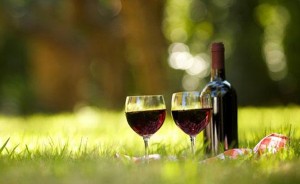 Shiraz-Wines