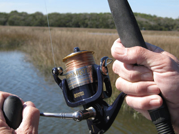 Spinning-Reels