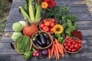 Organic Vegetables
