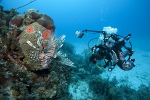 DivingBags