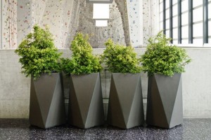 modern planters indoor