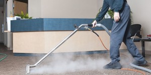 professional steam cleaner