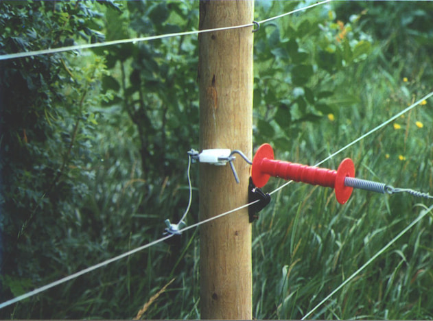 electric fence