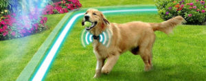 wireless dog fence