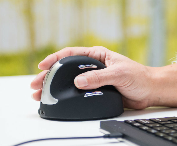 R-Go ergo mouse
