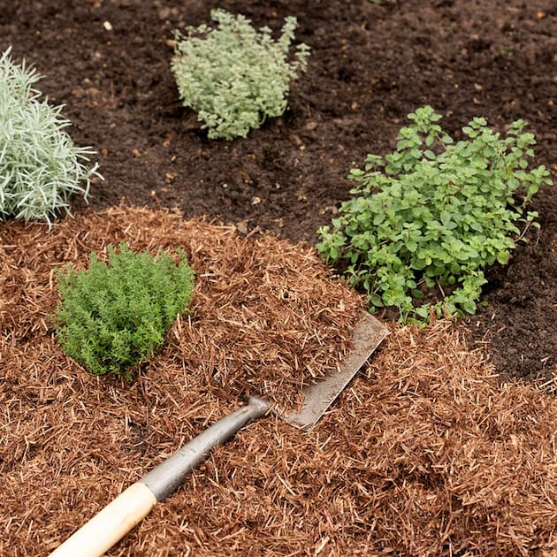 how to apply mulch in your garden properly