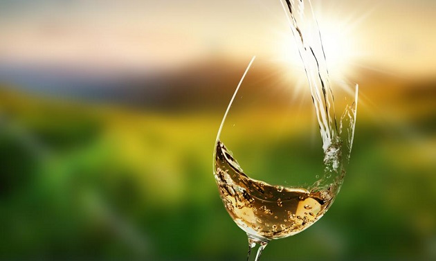 Organic Wine