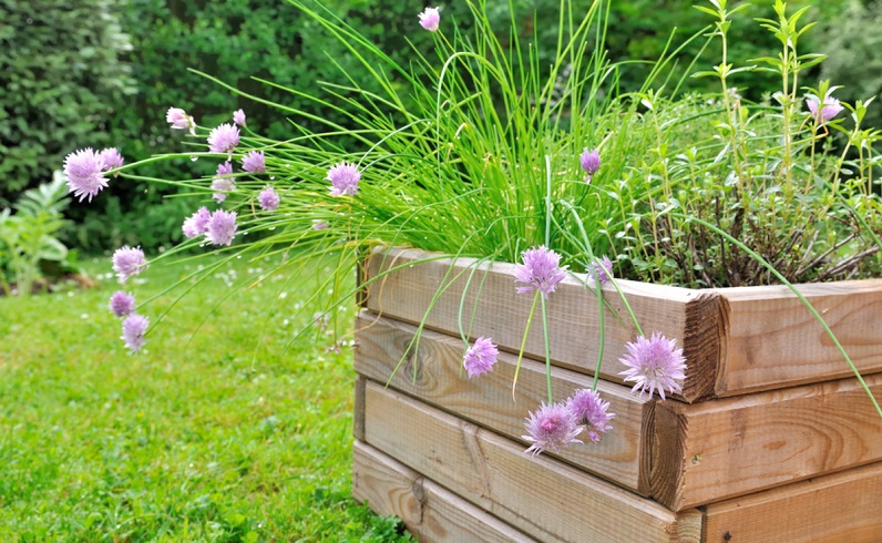 self watering pots