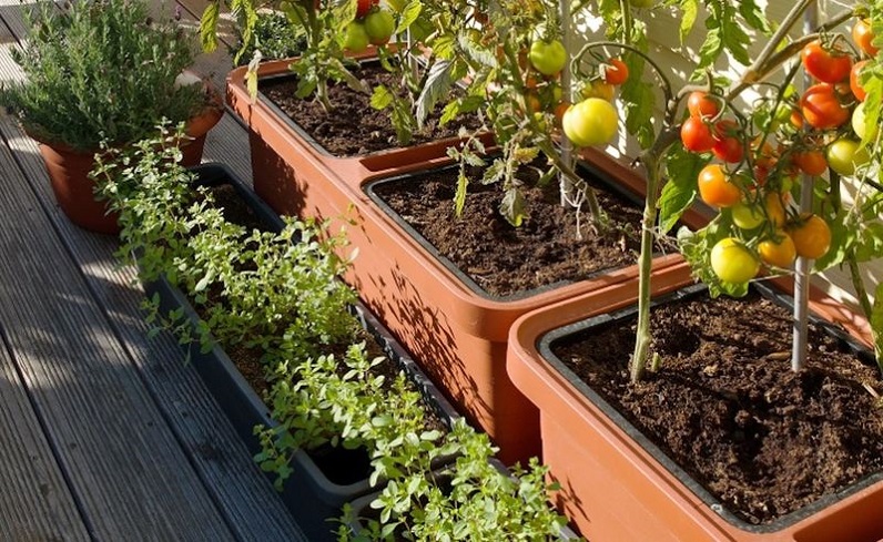 self watering pots