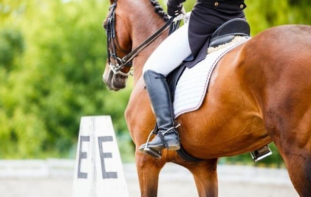 Riding boots typically have round toes, but pointy toes are more stylish. Another rising trend these days is square toe, so you can choose based on your personal preferences and select the shape your find most suitable for your needs and style.