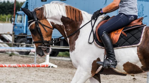 Whether you are new to the world of horseback riding or a seasoned equestrian, you need some basic gear to enjoy the sport. Horseback riding can be a dangerous sport, so you need to make sure to stay safe and comfortable at all times and not let injuries ruin your fun