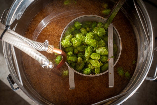 Homebrewed Beer
