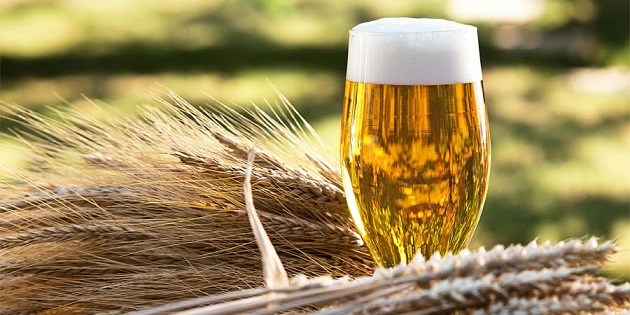 Homebrewed Beer