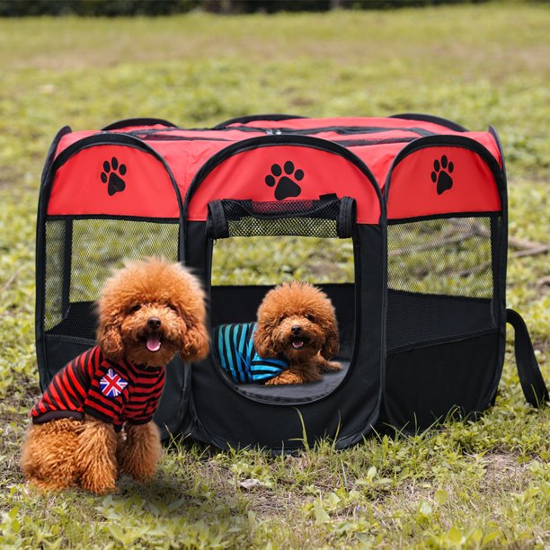 puppy in a dog pen