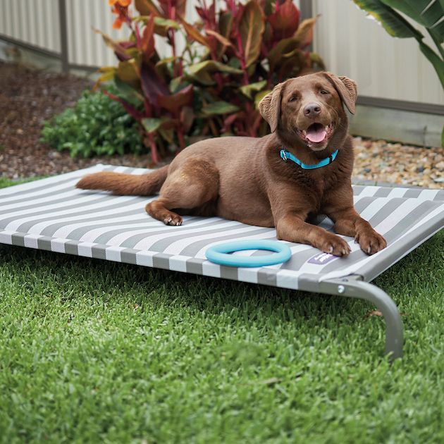waterproof dog bed