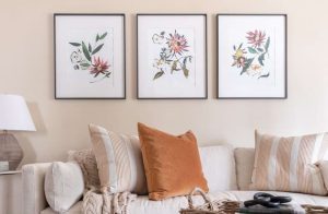 photo frames